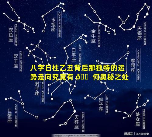 八字日柱乙丑背后那独特的运势走向究竟有 🐠 何奥秘之处